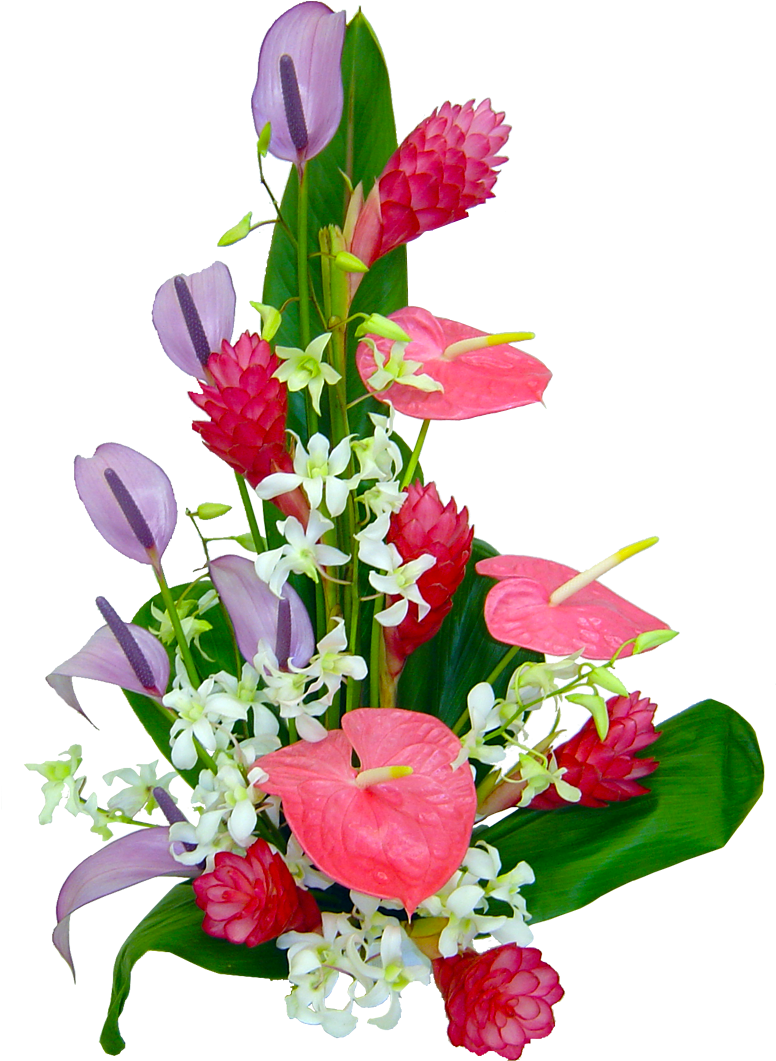 Flower Bouquet Garden Roses Bokeh Vector Png - Flower (1200x1200), Png Download
