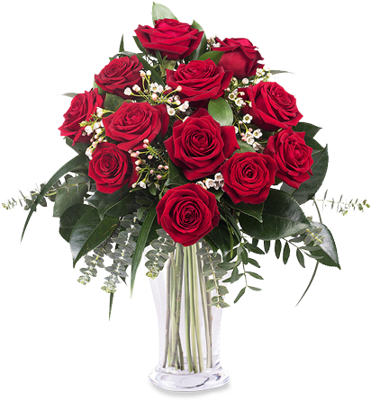 Red Rose Flower (480x480), Png Download