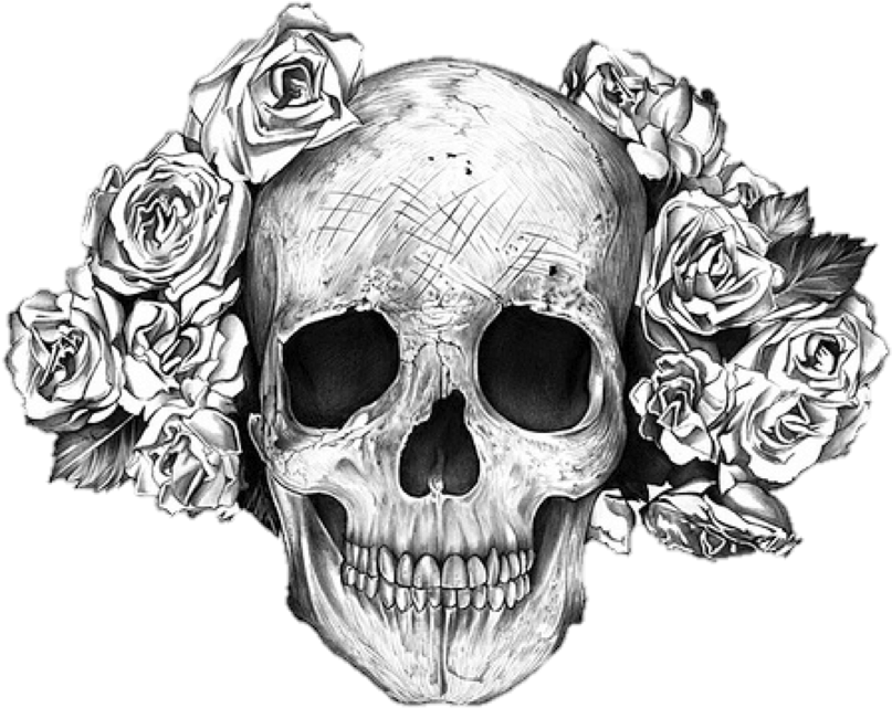 Drawn Bones Transparent - Rose Skull (900x747), Png Download