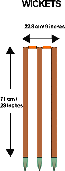 Details Of Cricket Stumps - Afvalbakken (480x800), Png Download