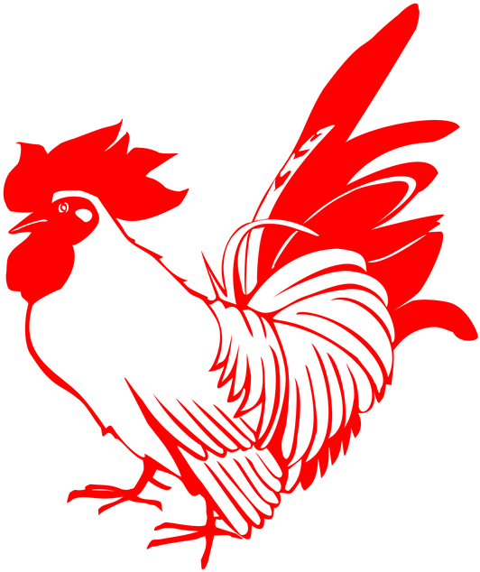 Chicken Transparent Png Images Free Download 013 - Free Rooster Png (630x720), Png Download