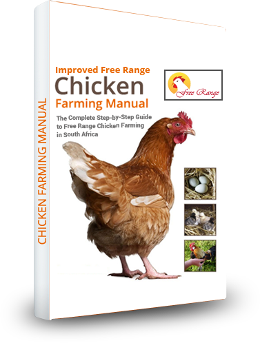 Broiler Chicken Production Business Plan - Chicken Manual: The Complete Step-by-step Guide To (377x498), Png Download