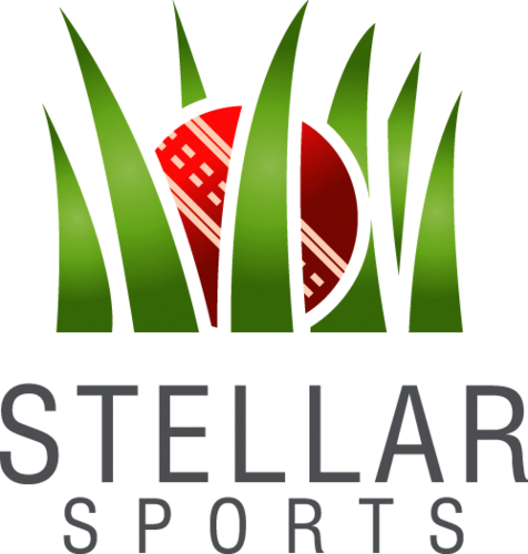 Stellar Sports Ltd - Diversity Celebration (476x500), Png Download