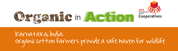 In Southern India, Organic Cotton Farmers Are Supporting - Graphic Design (740x214), Png Download