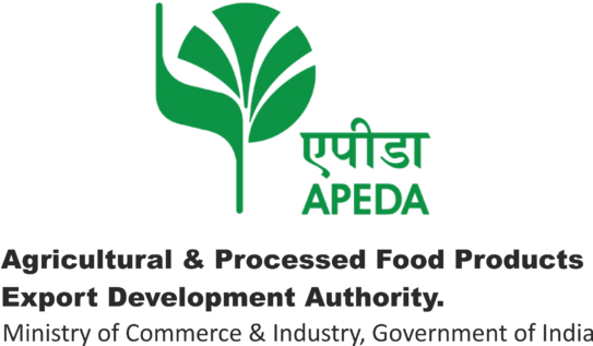 Apeda's New Progressive Step - Deskmate Pre-inked Office Stamp Authorised By Blue (542x335), Png Download