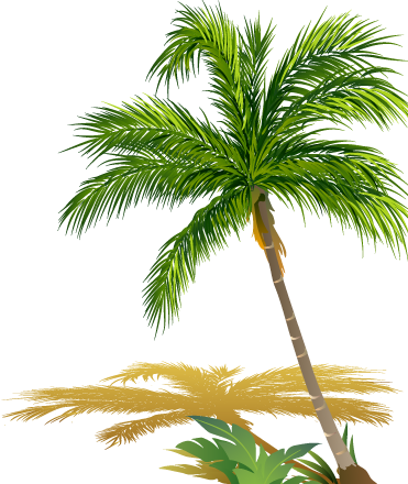 24 Hours ≡ Feat Childhood Memories - Beach Png (371x440), Png Download