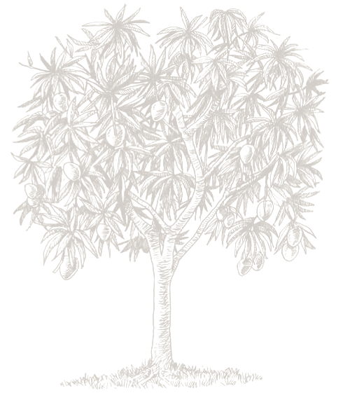 Dominican Republic (489x596), Png Download