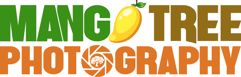 When Was The Last Time You Had Your Family Portrait - Mangotree Eugene Wedding Photographer (780x250), Png Download