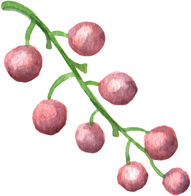 Fruit Pink Transparent Decorative Material - Watercolor Painting (650x667), Png Download