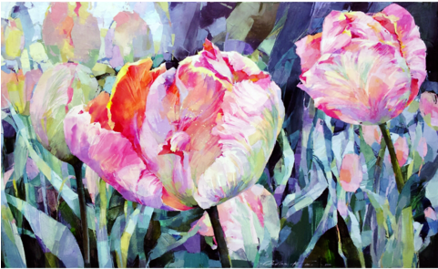 Tulip Garden - Garden (480x480), Png Download