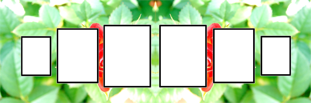 Wedding Album - Wedding Album Frames Png (1000x333), Png Download