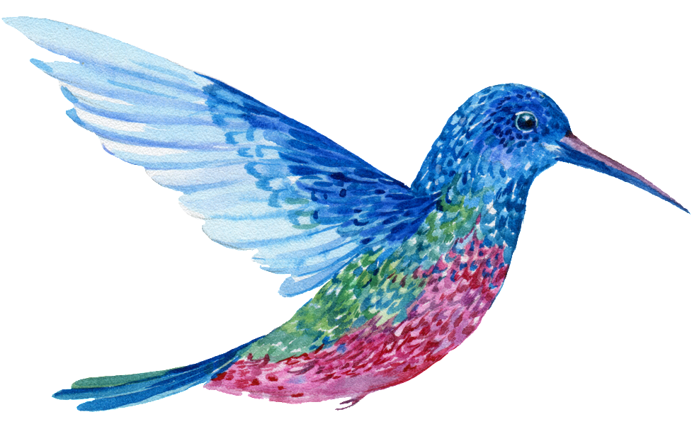 Download Hd Hand Painted A Flying Colorful Bird Png Transparent Bird Transparent Png Image Nicepng Com