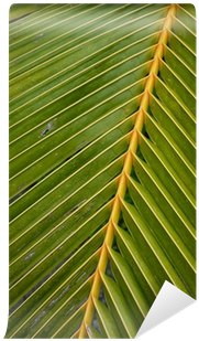 Vinegar Tree (400x400), Png Download