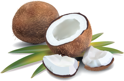 Coconut Cream & Pandan Leaves - Coconut With Pandan Leaf (576x386), Png Download