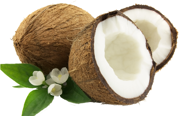 Coconut Png Transparent Free Images - Honeyskin Organics Aloe Vera + Manuka Honey Face (600x399), Png Download