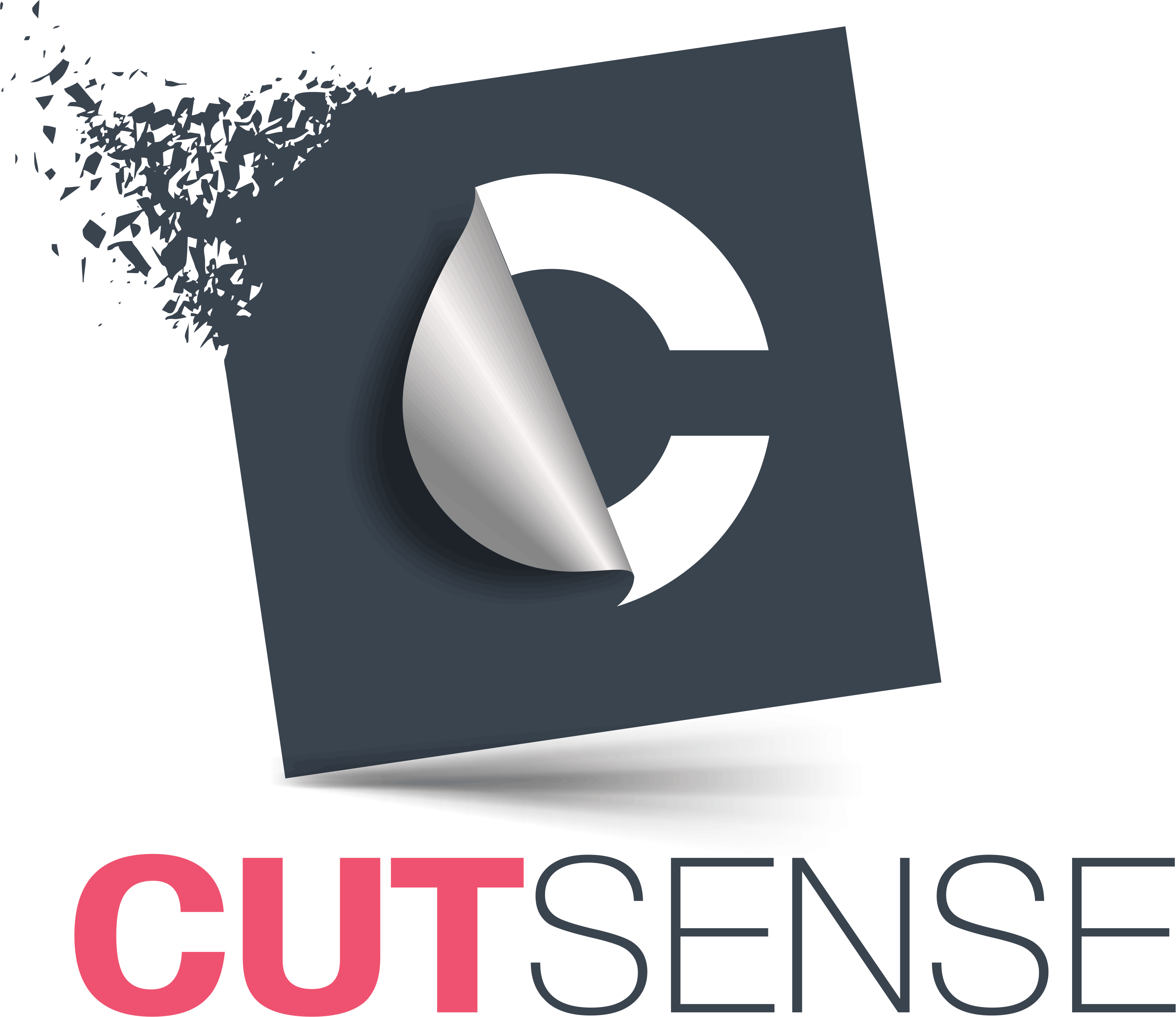 Cutsense Software - Cut Sense Software (2977x2574), Png Download