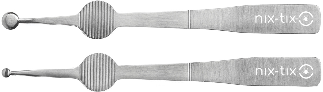 Paint Brush (1362x396), Png Download