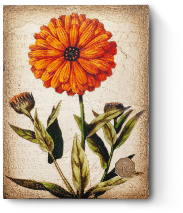 Marigold Necklace, Marigold Pendant, Vintage Marigold, (720x720), Png Download