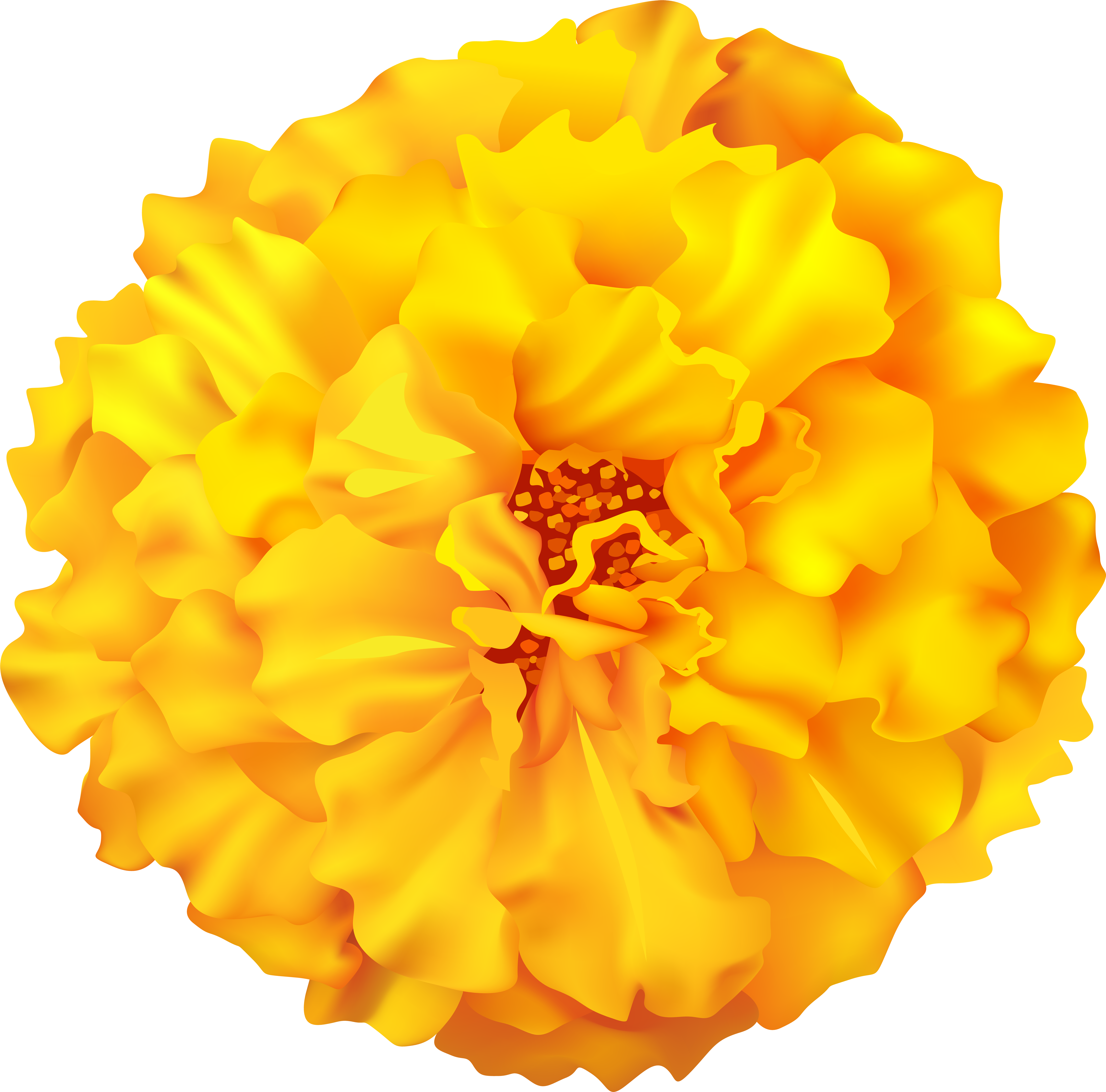 Marigold Flower Png (8000x7857), Png Download