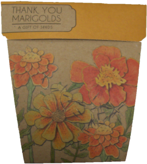 Marigolds - Marigold (350x400), Png Download