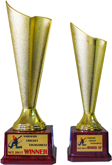 Fiber Trophies Caag - Fiber Trophy (430x555), Png Download