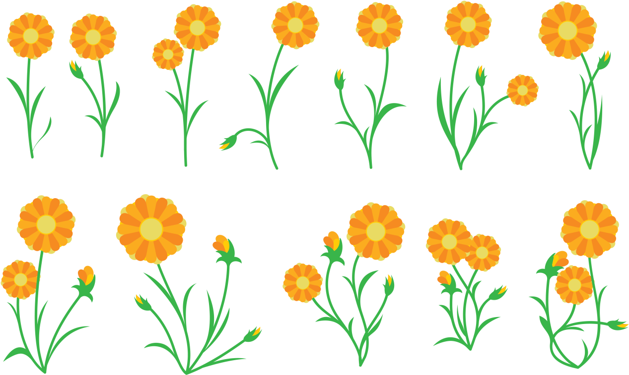 Calendula Vector De La Planta Descargue Gr225ficos - Calendula Vector Png (1400x980), Png Download