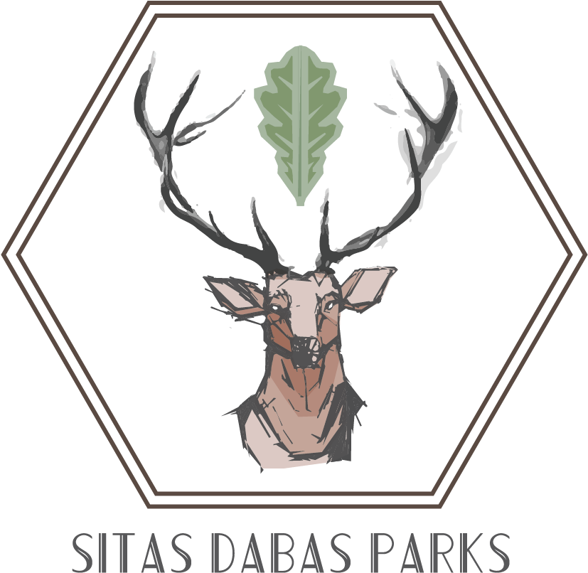 Deer Logo Design For Inspiration - Design (888x845), Png Download