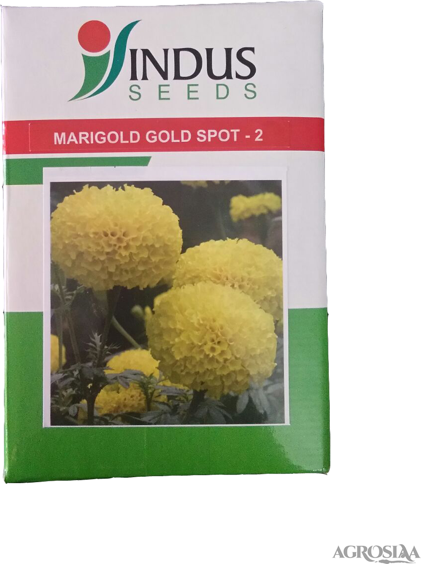 F1 - Baylor College Of Medicine (960x1280), Png Download