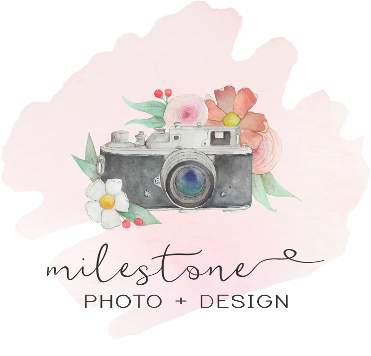 I - Garden Roses (768x747), Png Download