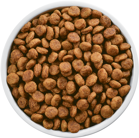 Hills Prescription Diet I/d Sensitive Canine Digestive - Edco Anti Schling Hunde Napf 1000 Ml Weiß Abs-kunststoff (500x500), Png Download