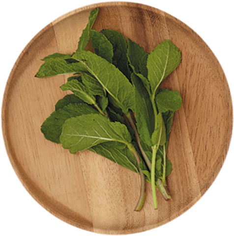 10 G - Spinach (640x640), Png Download