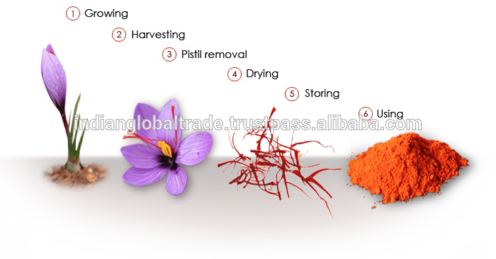 Saffron Indian Global Trade Supplier - Saffron Pistils (700x366), Png Download
