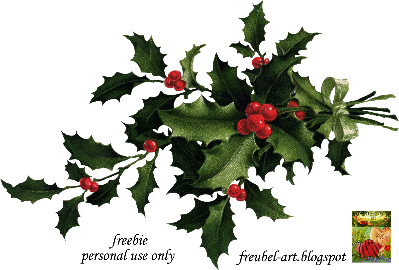 Christmas Holly Corner Png Download - Antonia Nouwens (1600x1084), Png Download