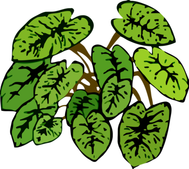 Leaf Plants Plant Stem How To Grow Herbs Botany - Clip Art (381x340), Png Download