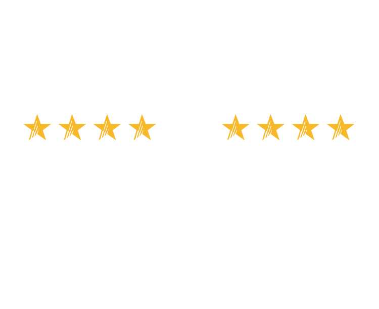 Boston Bullies Hero Rev - Vacation (800x632), Png Download
