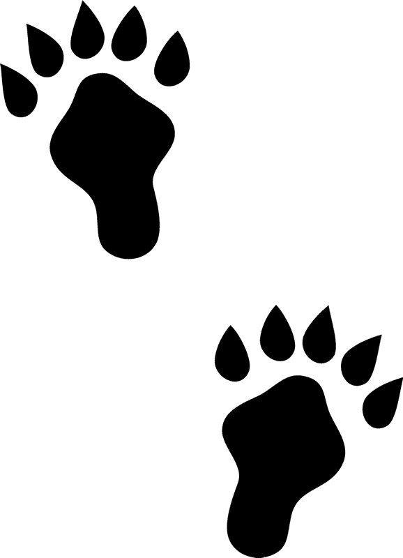 Otter Clipart Paws - Rubber Stamp (578x800), Png Download
