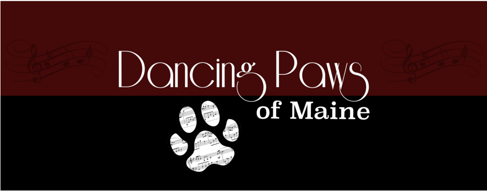 Paws Png (1000x667), Png Download