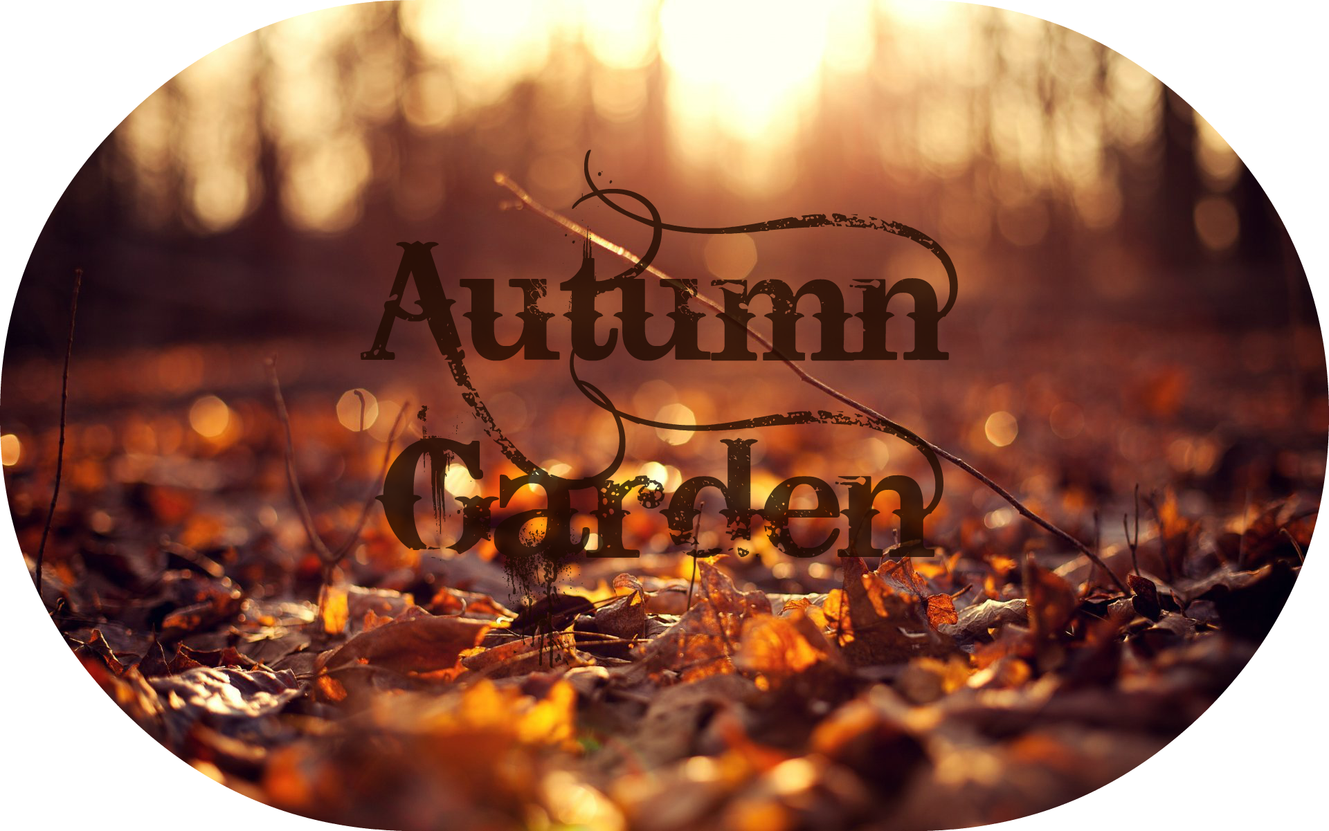 Close Up Leaves Leaves Autumn Sun Background Flower - Dr Botanicals Advanced Anti Oxidant Superfood Facial (1920x1201), Png Download