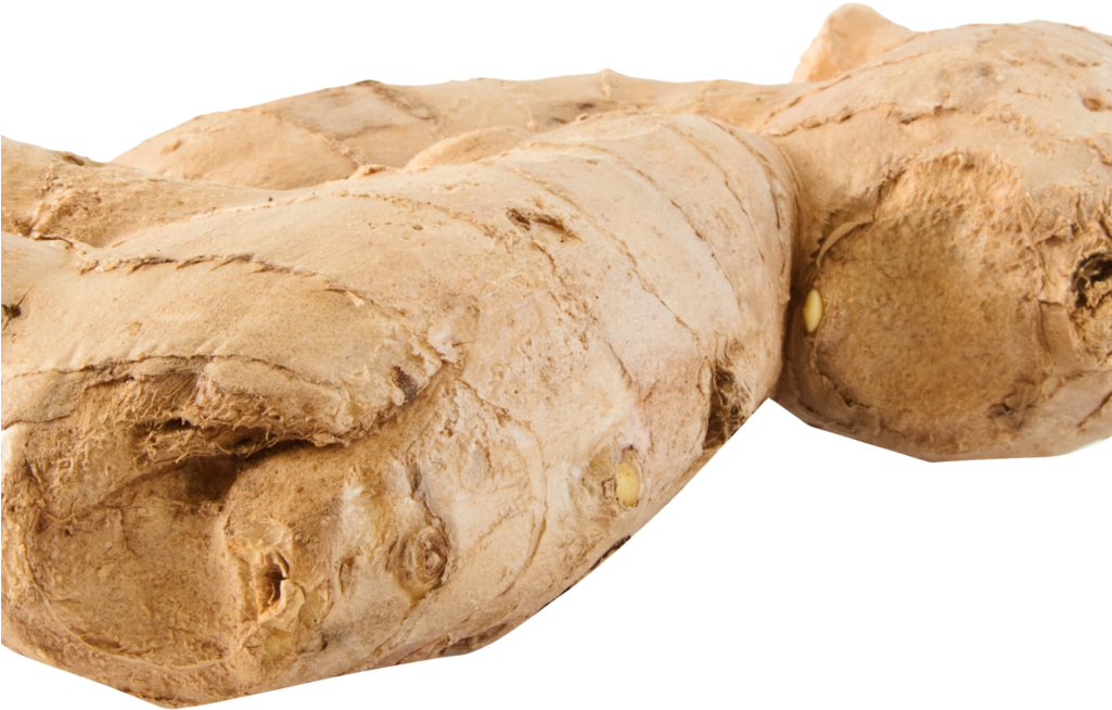 Ginger Png Image2 - Portable Network Graphics (1024x768), Png Download