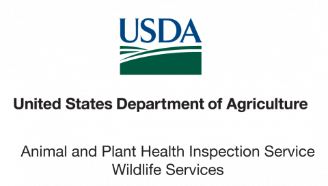 United States Dep, Ment Of Agriculture, Animal And - Usda Wildlife Services Logo (480x272), Png Download