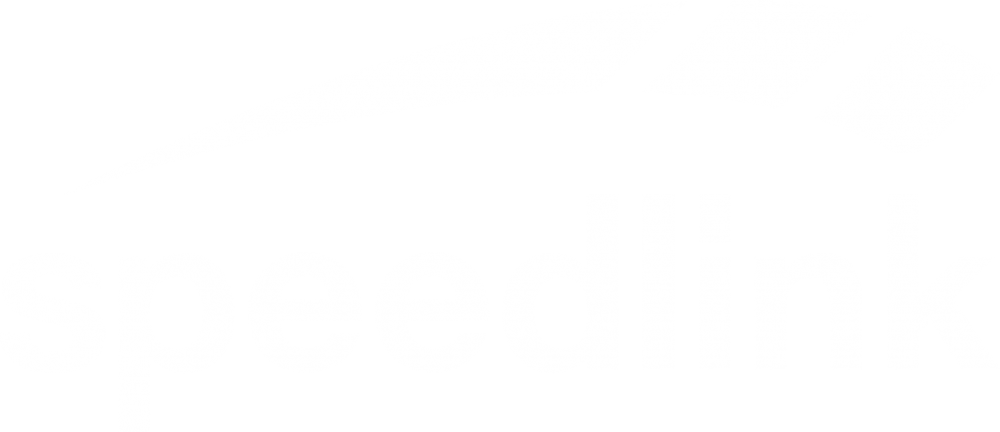 Logo Speedlink White As Png File - Flashforward (1000x432), Png Download