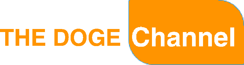 The Doge Channel New Logo - Comic Sans Font (798x213), Png Download