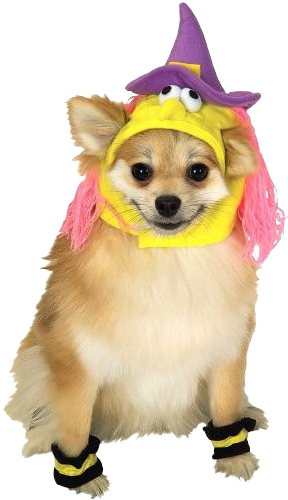 Rubies Princess Pet Costume - X-large (500x500), Png Download