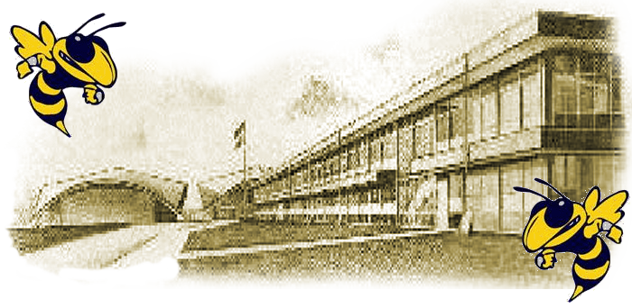 Thomas Jefferson High School - Sfa High School Port Arthur (700x342), Png Download