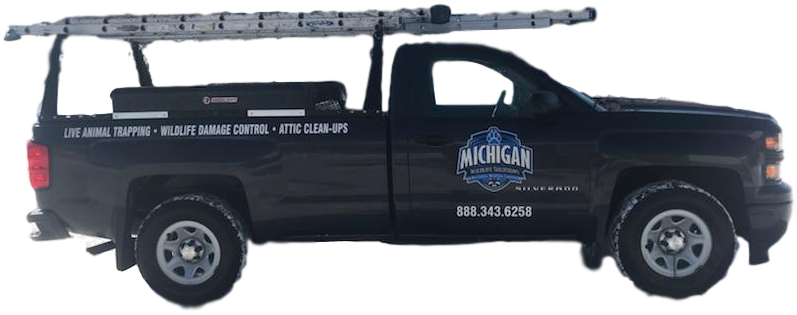 Full Service Wildlife Control- South East, Mi - Michigan (797x315), Png Download