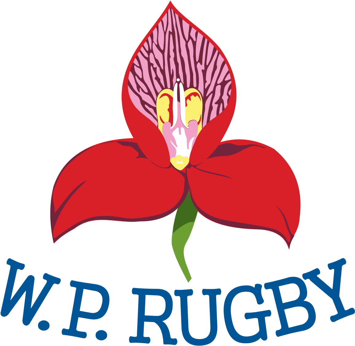 Download - Western Province Rugby Union (1200x1171), Png Download