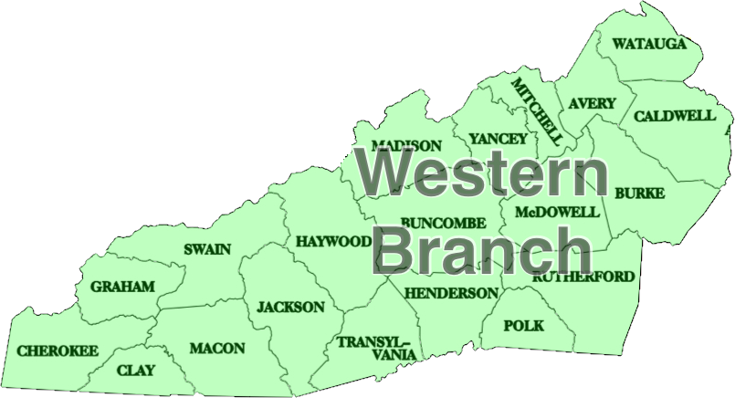 Nc County Map Shaded - North Carolina (805x436), Png Download