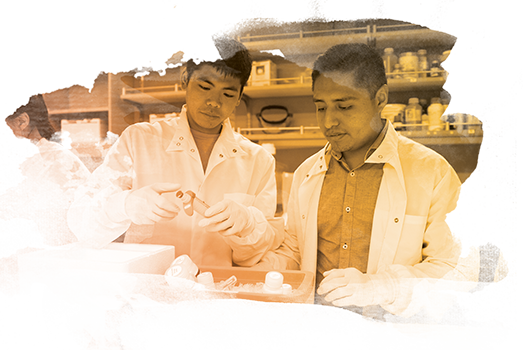 Founded In 1975, The Usc Leonard Davis School Of Gerontology - University Of Southern California (523x350), Png Download