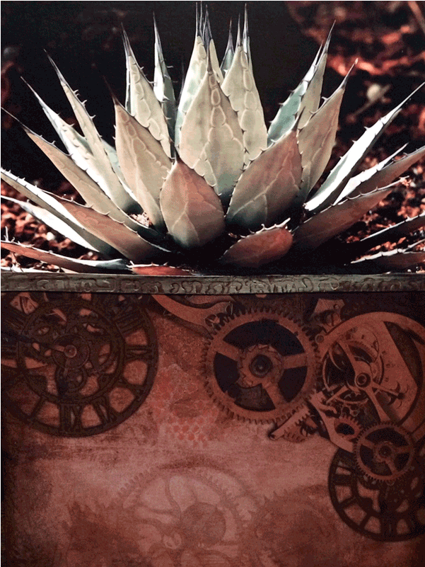 Cog-native - Mulan Vintage Storybook Necklace (800x800), Png Download