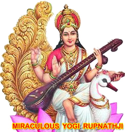 Love Guru Astrologer - Saraswati Logo (490x515), Png Download